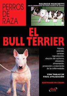 El Bull Terrier