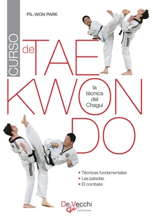 Curso de taekwondo