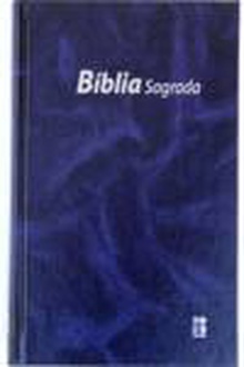Biblia dn 53 - azul