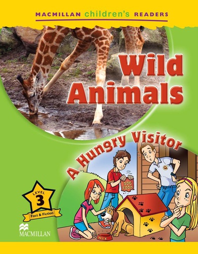 Wild animals a hungry visitor level 3