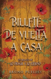 Billete de vuelta a casa