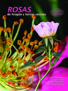 Rosas de Aragón y tierras vecinas 2ª edición corregida