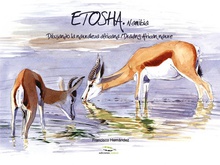 ETOSHA, NAMIBIA Dibujando la naturaleza africana. Drawing african nature