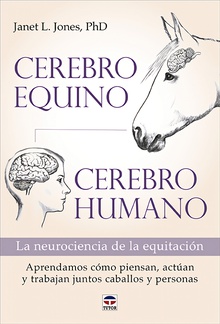 Cerebro equino, cerebro humano La neurociencia de la equitación