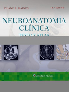 Neuroanatomia clinica 10eed texto y atlas