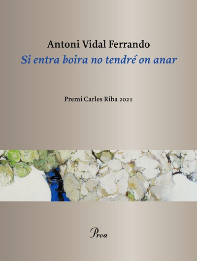 Si entra boira no tendré on anar