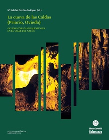 Ámbar local en los niveles magdalenienses de Las Caldas (Sala II)