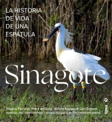 Sinagote la historia de vida de una espatula