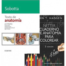 Lote Hansen-Waschke: Netter. Cuaderno de anatomía para colorear + Sobotta.Texto
