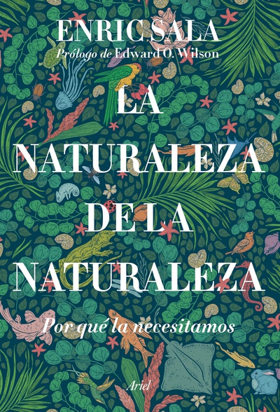 La naturaleza de la naturaleza