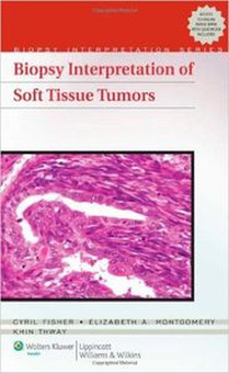 Biopsy interpretation of soft tissue tumors
