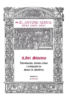 Libri minores
