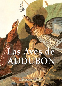 Las Aves de Audubon