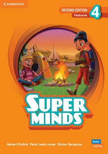 Super minds 4 flashcards