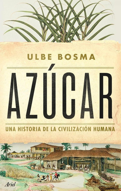 Azúcar
