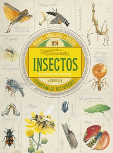 Insectos Colección curiosidades
