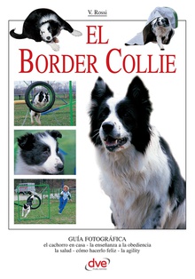 El border collie