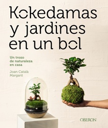 Kokedamas y jardines en un bol Un trozo de naturaleza en casa