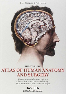 Bourgery, Atlas Anatom. HC