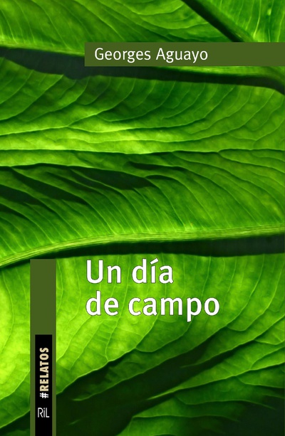 Un día de campo