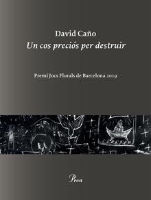 Un cos preciós per destruir