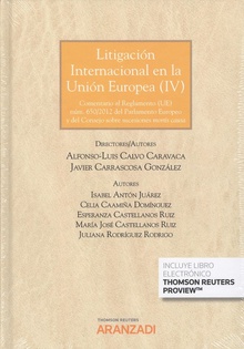 LITIGACIÓN INTERNACIONAL EN LA UNIÓN EUROPEA (IV)