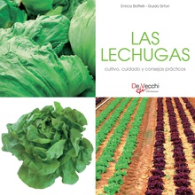 Las lechugas - cultivo, cuidado y condejos prácticos