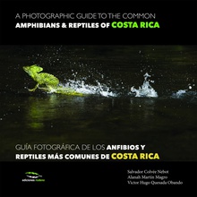 A photographic guide of the common ammphibians amp/ reptiles of Costa Roca / Guía fotográfica de los anfibios y reptiles más co