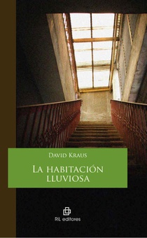 La habitación lluviosa