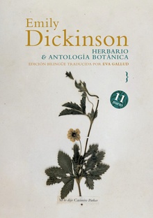 Herbario y antología botánica Antolog¡a botánica