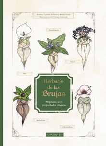 Herbario de las brujas 80 plantas con propiedades mágicas