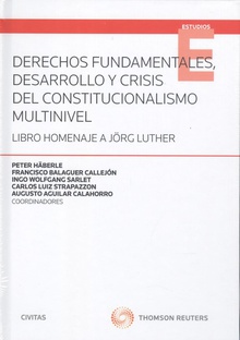 Derechos fundamentales desarrollo crisis constitucionalismo