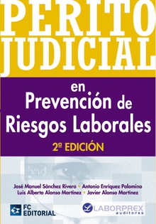 Perito Judicial En Prevencion De Riesgos Laborales (2ª Ed.)