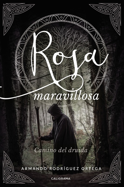 Rosa maravillosa