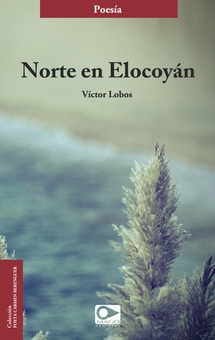 Norte en Elocoyán