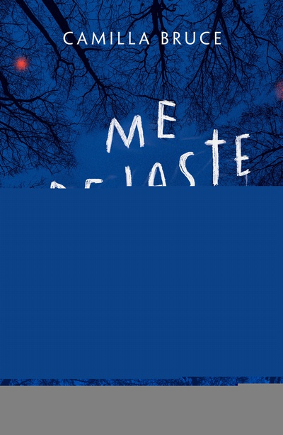 Me dejaste entrar