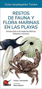 Restos de fauna y flora marinas en las playas introduccion a las especies ibericas, baleares y canarias