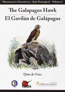 Gavilan de galapagos, el