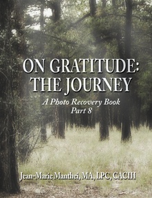 On Gratitude: The Journey