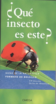 ¿QUÈ INSECTO ES ESTE? 170 insectos fáciles de identificar