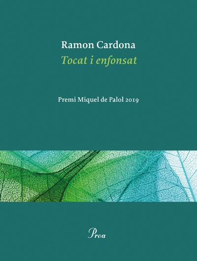 Tocat i enfonsat