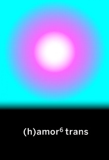 (h)amor 6 trans TRANS