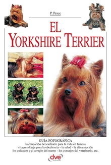 El Yorkshire Terrier