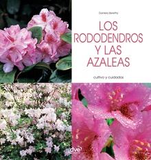 Los rododendros y las azaleas - Cultivo y cuidados